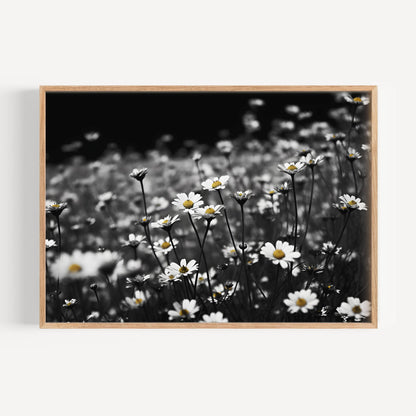 Daisy Dreamscape Poster