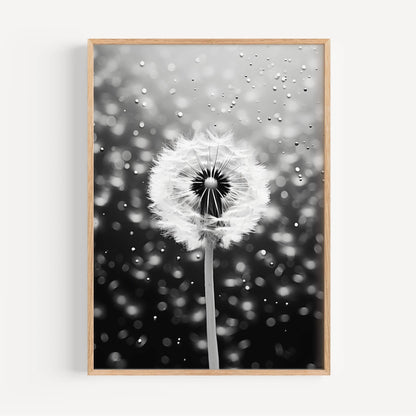 Dandelion Poster