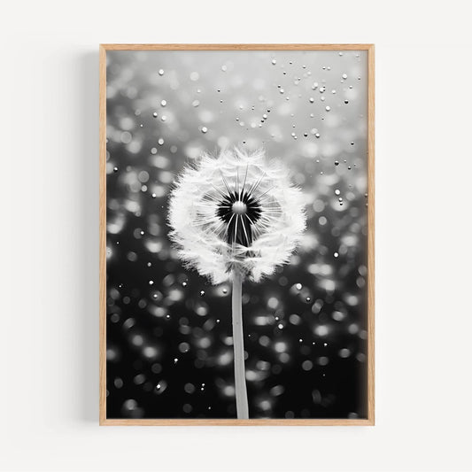 Dandelion